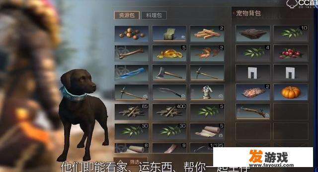 《明日之后》玩家将狗狗命名为“王思聪”和“马化腾”，并做出羞羞的动作，你怎么看？