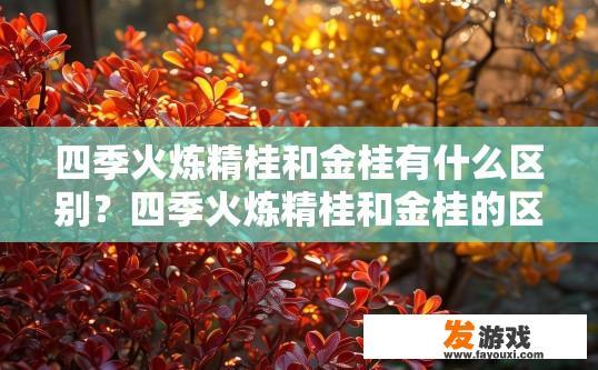 四季火炼精桂和金桂有什么区别？四季火炼精桂和金桂的区别是什么？