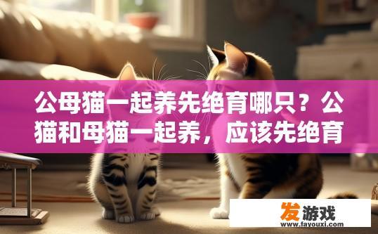 公母猫一起养先绝育哪只？公猫和母猫一起养，应该先绝育哪只猫？