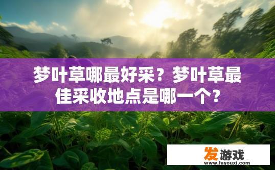 梦叶草哪最好采？梦叶草最佳采收地点是哪一个？