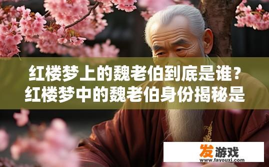 红楼梦上的魏老伯到底是谁？红楼梦中的魏老伯身份揭秘是什么？