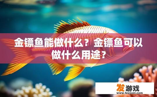 金镖鱼能做什么？金镖鱼可以做什么用途？
