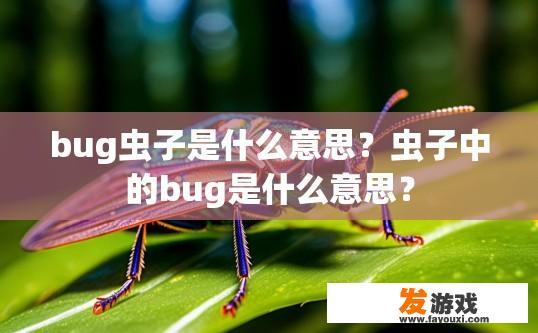 bug虫子是什么意思？虫子中的bug是什么意思？