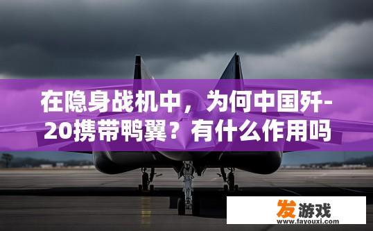 在隐身战机中，为何中国歼-20携带鸭翼？有什么作用吗，隐身战机中为何中国歼-20携带鸭翼，作用是什么疑问的标题可以是歼-20鸭翼作用解析
